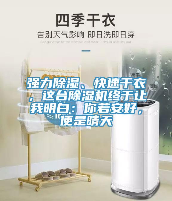 強力除濕、快速幹衣，這台草莓污视频在线看終於讓我明白：你若安好，便是晴天