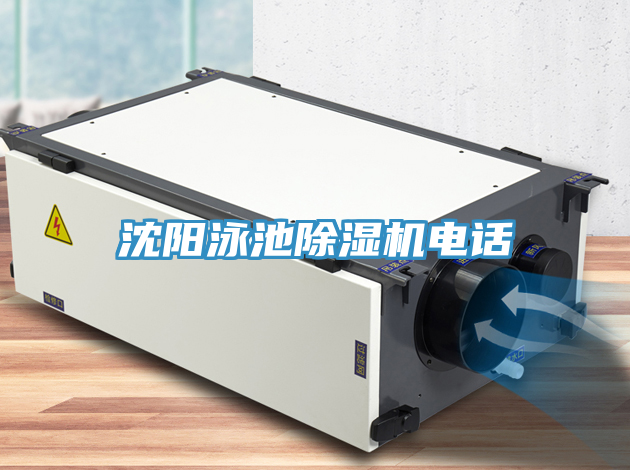 沈陽泳池草莓污视频在线看電話