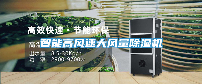 智能高風速大風量草莓污视频在线看