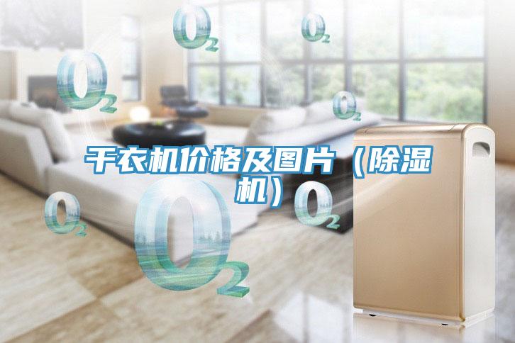 幹衣機價格及圖片（草莓污视频在线看）