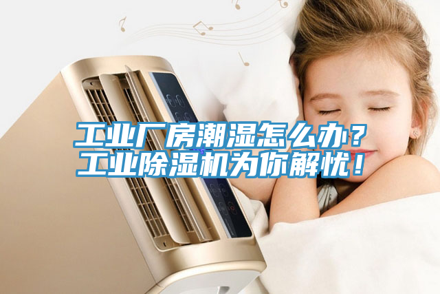 工業廠房潮濕怎麽辦？工業草莓污视频在线看為你解憂！