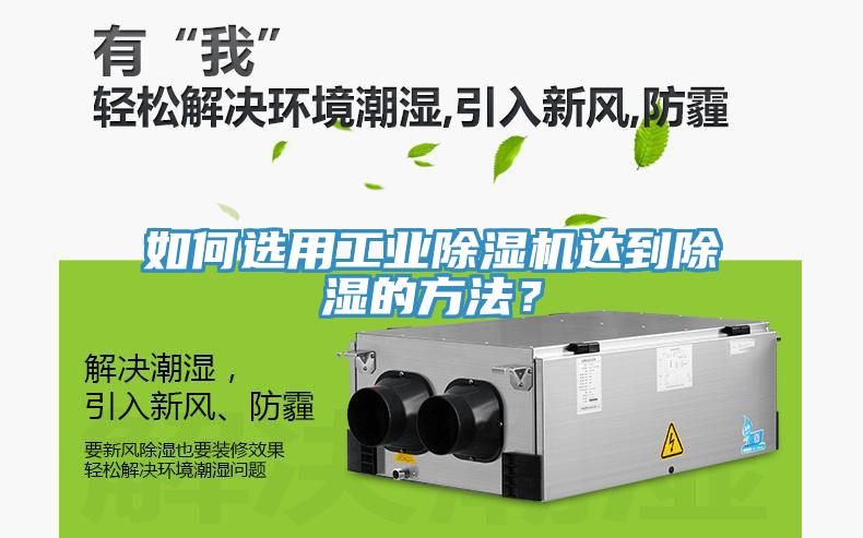 如何選用工業草莓污视频在线看達到除濕的方法？