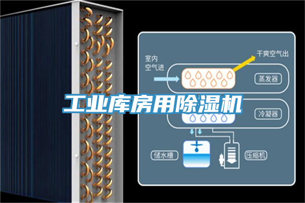 工業庫房用草莓污视频在线看