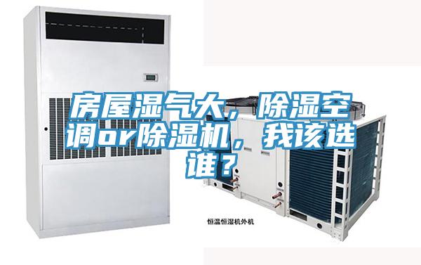 房屋濕氣大，除濕空調or草莓污视频在线看，我該選誰？