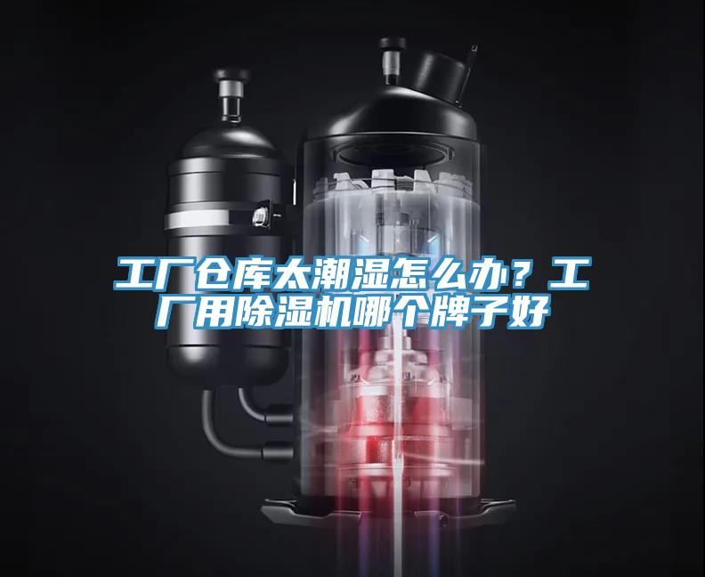 工廠倉庫太潮濕怎麽辦？工廠用草莓污视频在线看哪個牌子好