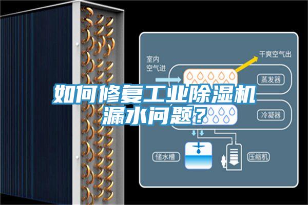 如何修複工業草莓污视频在线看漏水問題？