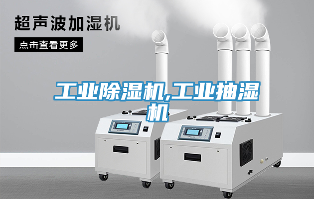 工業草莓污视频在线看,工業抽濕機