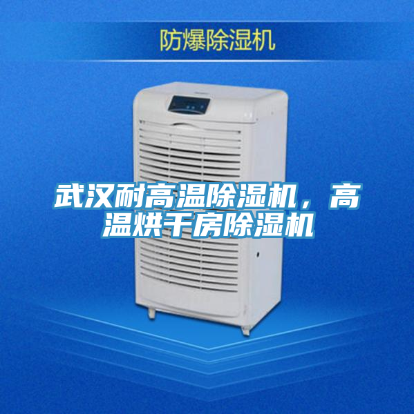 武漢耐高溫草莓污视频在线看，高溫烘幹房草莓污视频在线看
