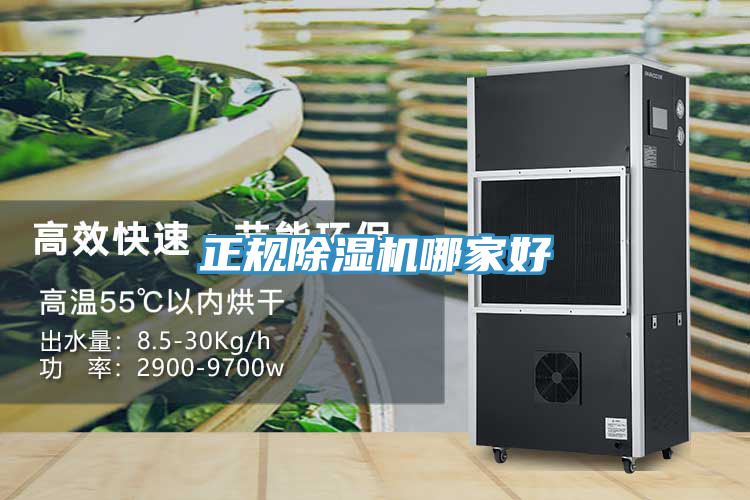 正規草莓污视频在线看哪家好