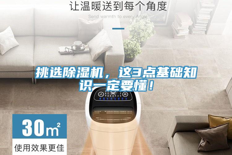 挑選草莓污视频在线看，這3點基礎知識一定要懂！