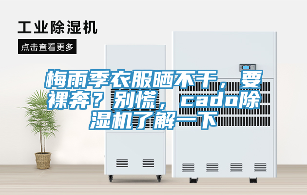 梅雨季衣服曬不幹，要裸奔？別慌，cado草莓污视频在线看了解一下