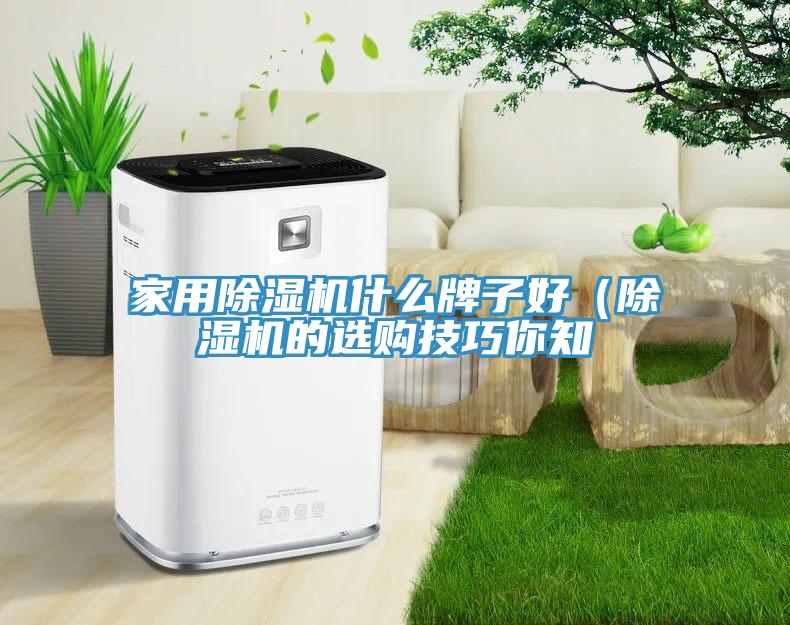家用草莓污视频在线看什麽牌子好（草莓污视频在线看的選購技巧你知