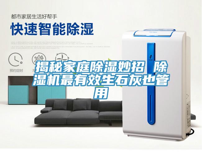 揭秘家庭除濕妙招 草莓污视频在线看最有效生石灰也管用