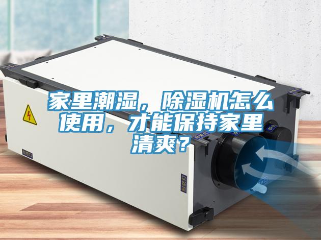 家裏潮濕，草莓污视频在线看怎麽使用，才能保持家裏清爽？