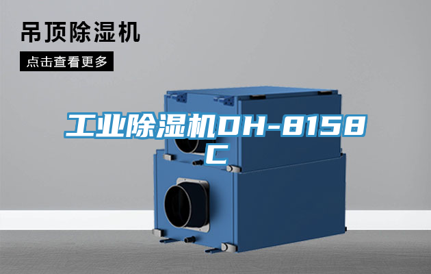 工業草莓污视频在线看DH-8158C