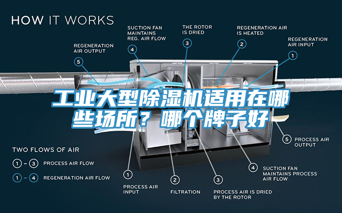 工業大型草莓污视频在线看適用在哪些場所？哪個牌子好