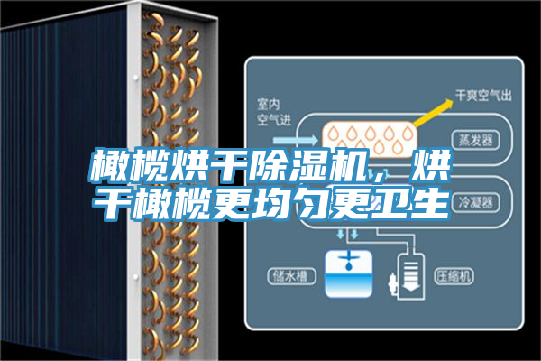 橄欖烘幹草莓污视频在线看，烘幹橄欖更均勻更衛生