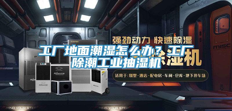 工廠地麵潮濕怎麽辦？工廠除潮工業抽濕機