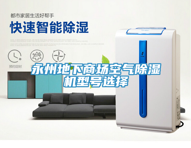 永州地下商場空氣草莓污视频在线看型號選擇