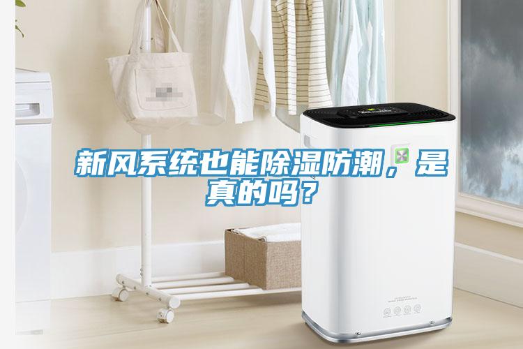 新風係統也能除濕防潮，是真的嗎？