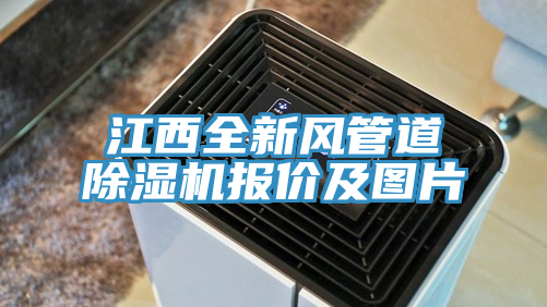 江西全新風管道草莓污视频在线看報價及圖片