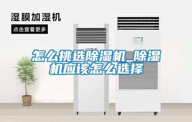 怎麽挑選草莓污视频在线看_草莓污视频在线看應該怎麽選擇