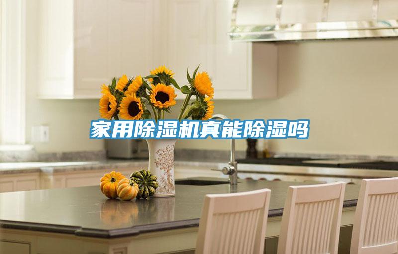 家用草莓污视频在线看真能除濕嗎