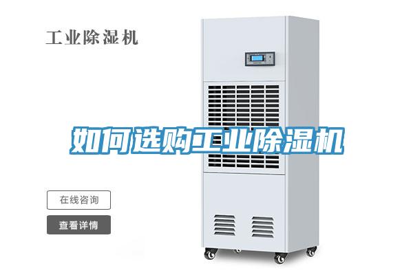 如何選購工業草莓污视频在线看