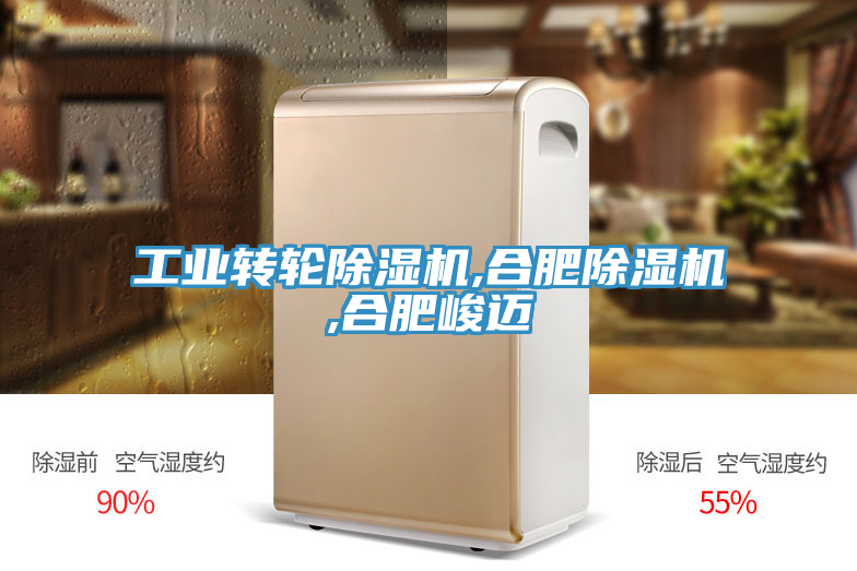 工業轉輪草莓污视频在线看,合肥草莓污视频在线看,合肥峻邁