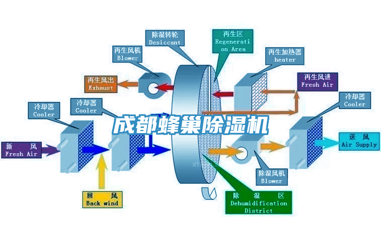 成都蜂巢草莓污视频在线看