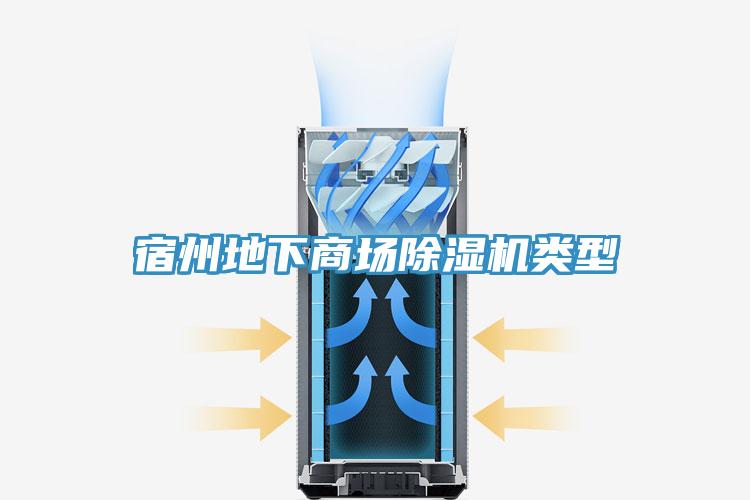 宿州地下商場草莓污视频在线看類型