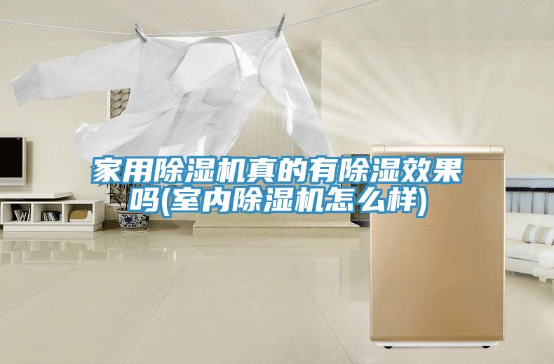 家用草莓污视频在线看真的有除濕效果嗎(室內草莓污视频在线看怎麽樣)