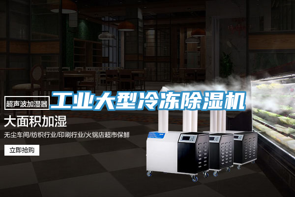 工業大型冷凍草莓污视频在线看