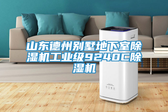 山東德州別墅地下室草莓污视频在线看工業級9240C草莓污视频在线看