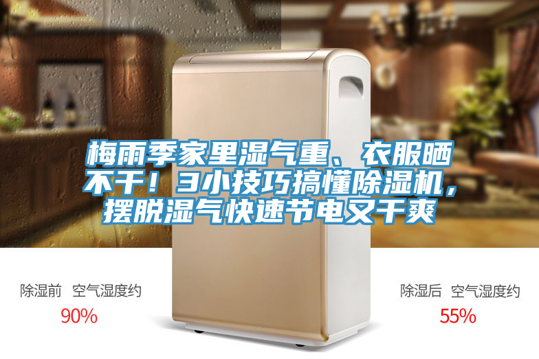 梅雨季家裏濕氣重、衣服曬不幹！3小技巧搞懂草莓污视频在线看，擺脫濕氣快速節電又幹爽