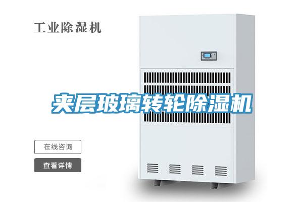夾層玻璃轉輪草莓污视频在线看