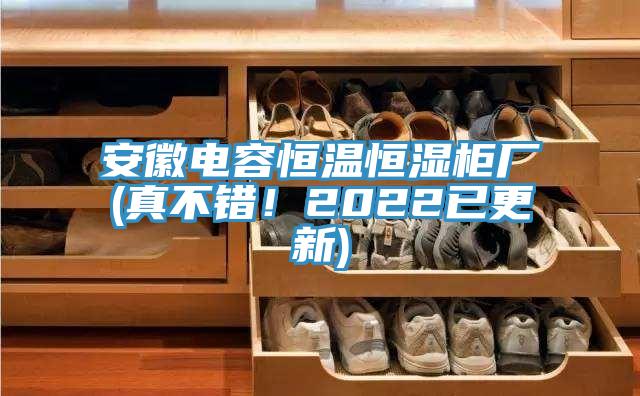 安徽電容恒溫恒濕櫃廠(真不錯！2022已更新)