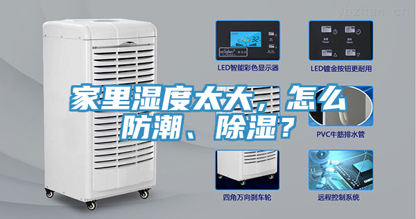 家裏濕度太大，怎麽防潮、除濕？
