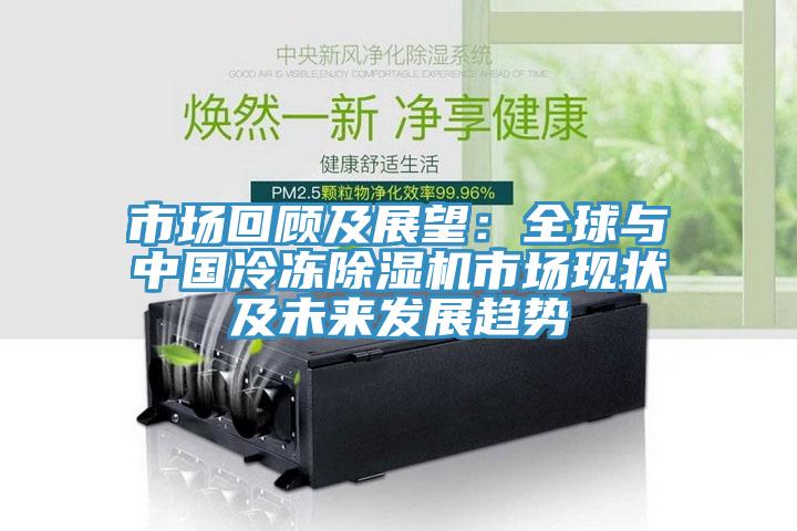市場回顧及展望：全球與中國冷凍草莓污视频在线看市場現狀及未來發展趨勢