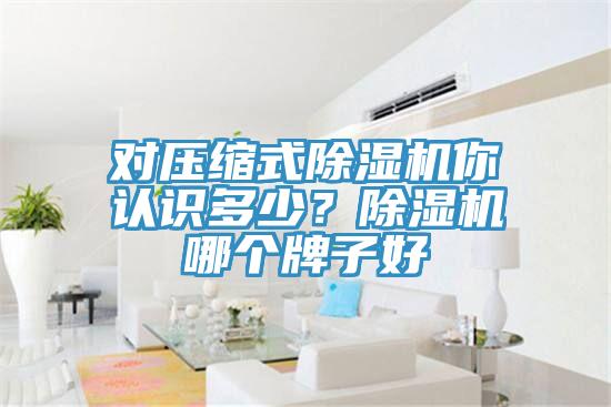 對壓縮式草莓污视频在线看你認識多少？草莓污视频在线看哪個牌子好
