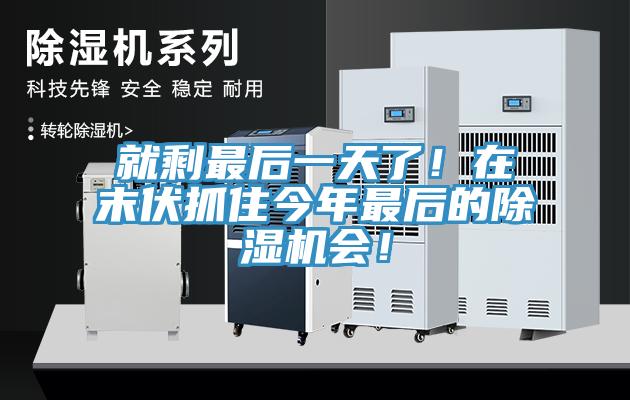 就剩最後一天了！在末伏抓住今年最後的草莓污视频在线看會！