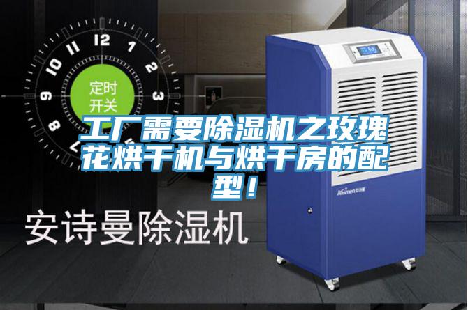 工廠需要草莓污视频在线看之玫瑰花烘幹機與烘幹房的配型！