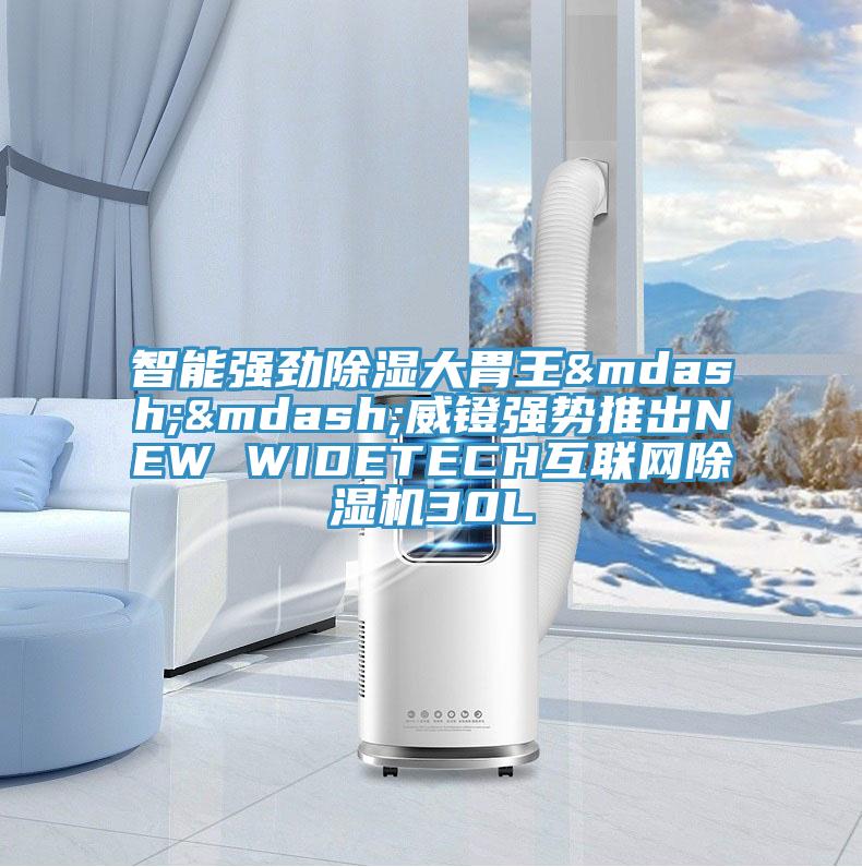 智能強勁除濕大胃王——威鐙強勢推出NEW WIDETECH互聯網草莓污视频在线看30L