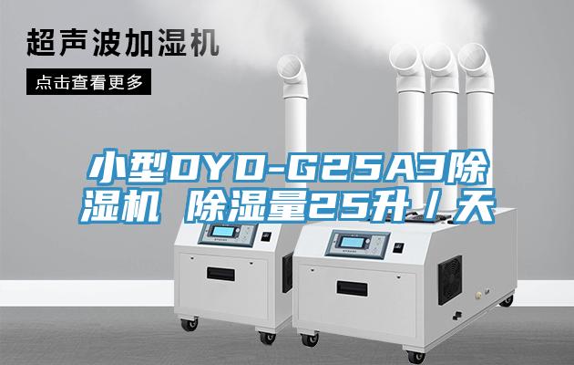 小型DYD-G25A3草莓污视频在线看 除濕量25升／天