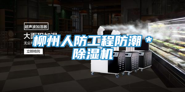 柳州人防工程防潮＊草莓污视频在线看