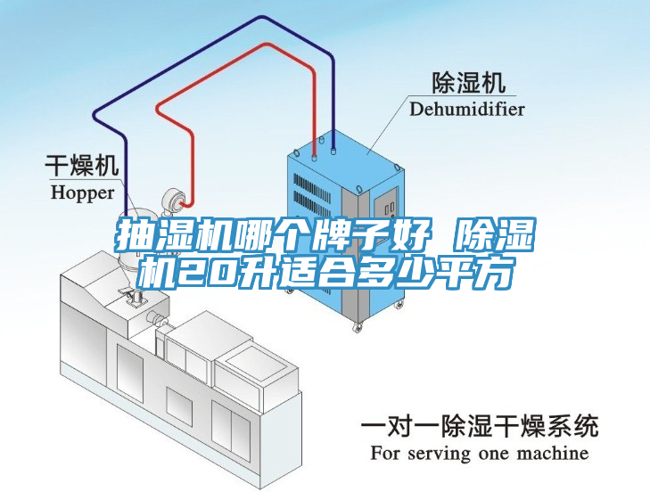 抽濕機哪個牌子好 草莓污视频在线看20升適合多少平方