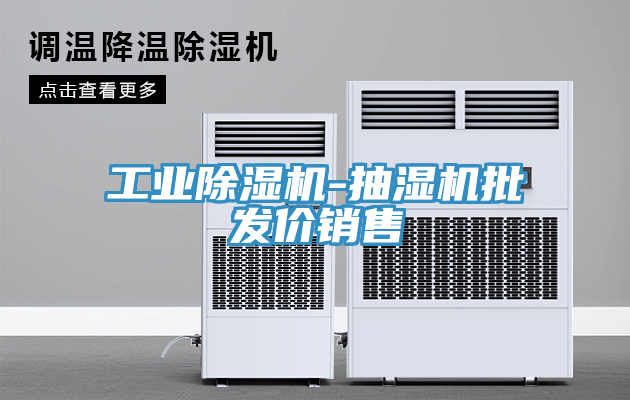 工業草莓污视频在线看-抽濕機批發價銷售