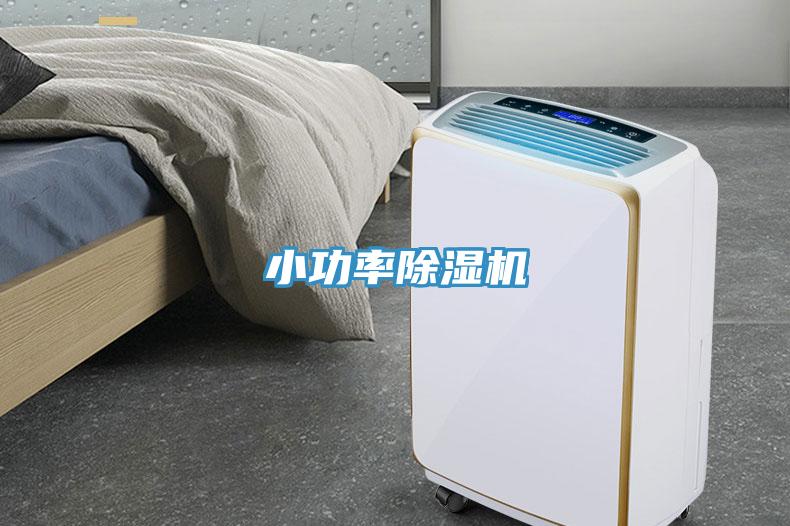 小功率草莓污视频在线看