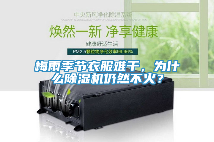 梅雨季節衣服難幹，為什麽草莓污视频在线看仍然不火？