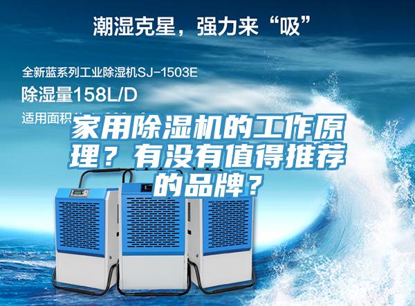 家用草莓污视频在线看的工作原理？有沒有值得推薦的品牌？